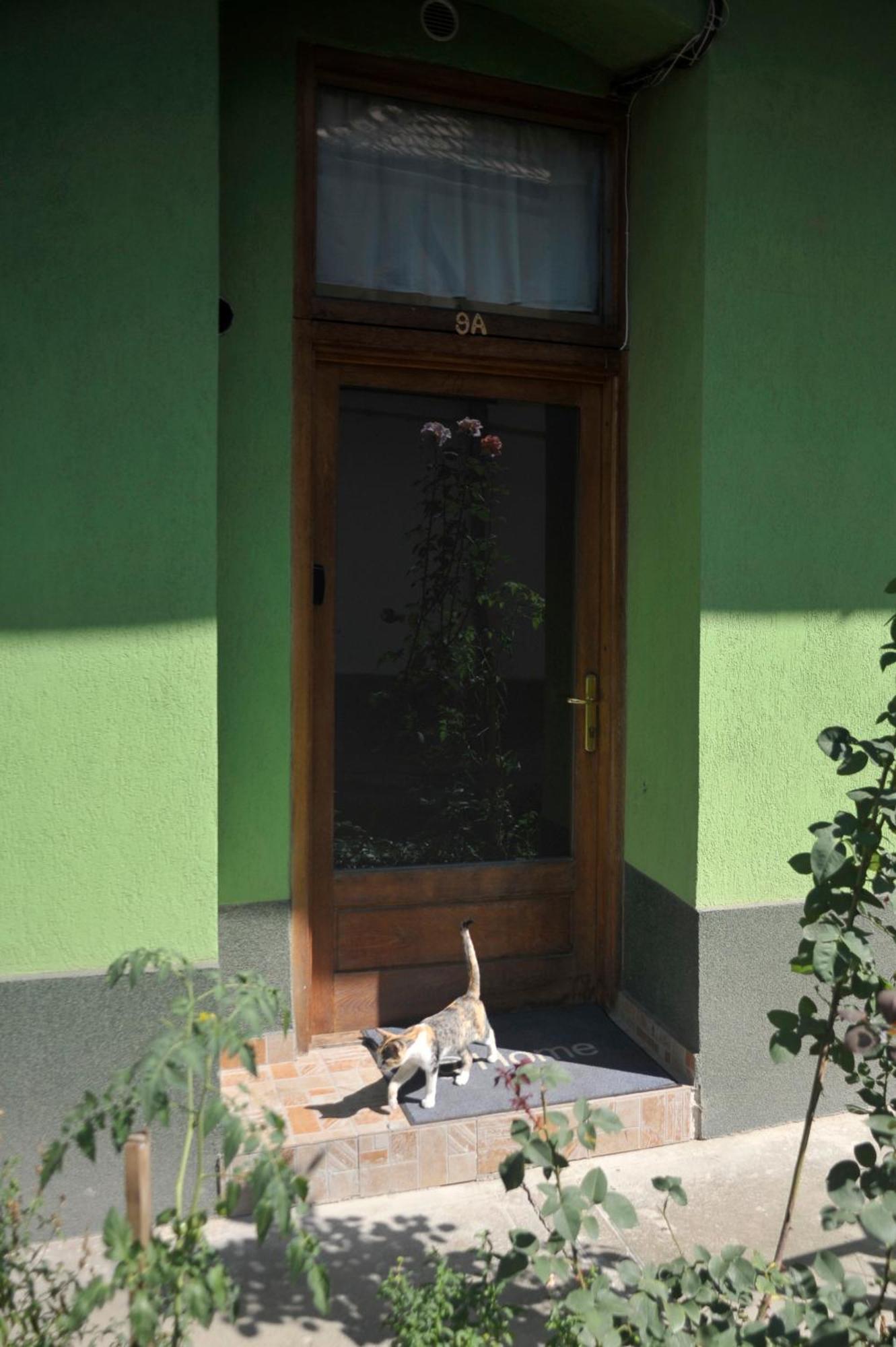 Atu Central Apartment Cluj-Napoca Exterior photo
